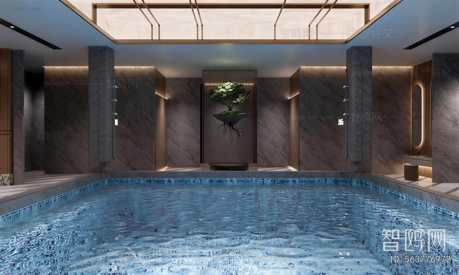 Modern Swimming Pool