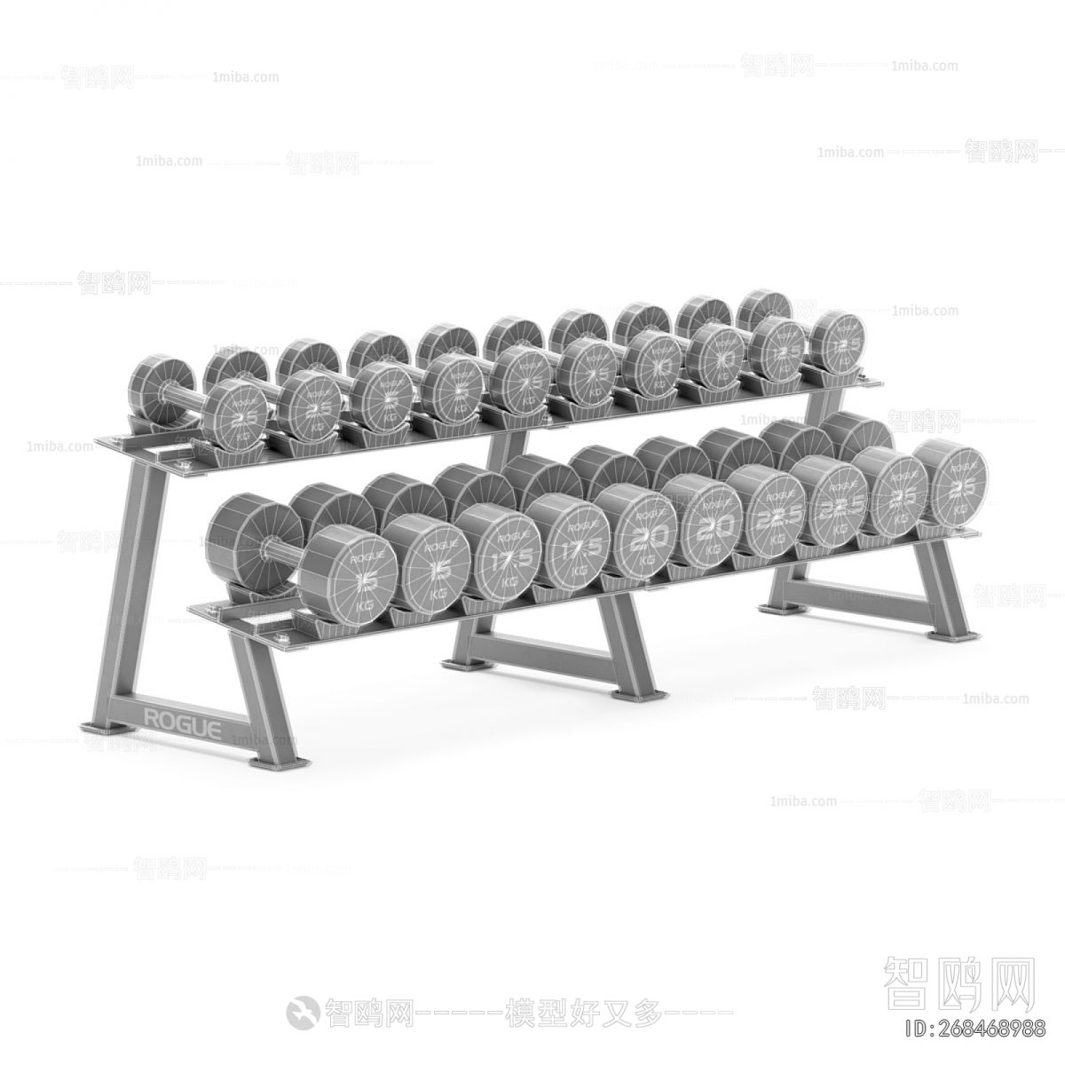 Modern Fitness Equipment