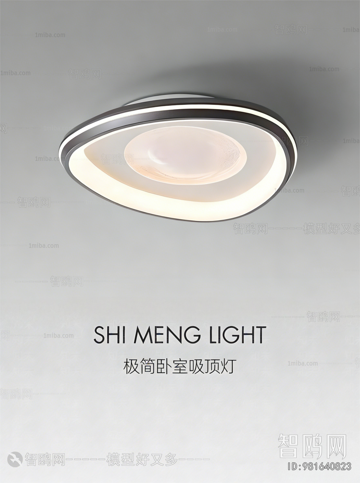 Modern Ceiling Ceiling Lamp