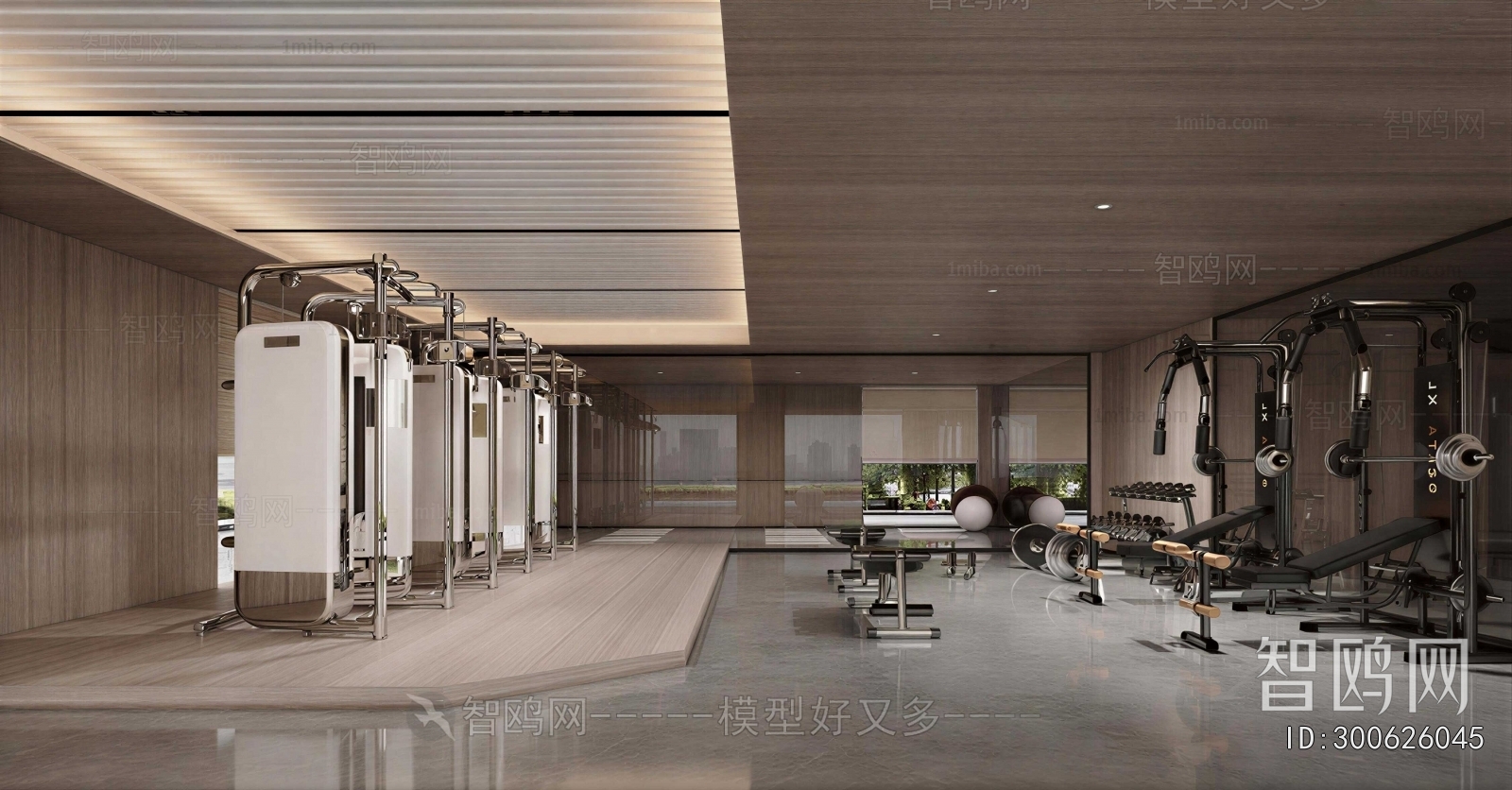 Modern Gym