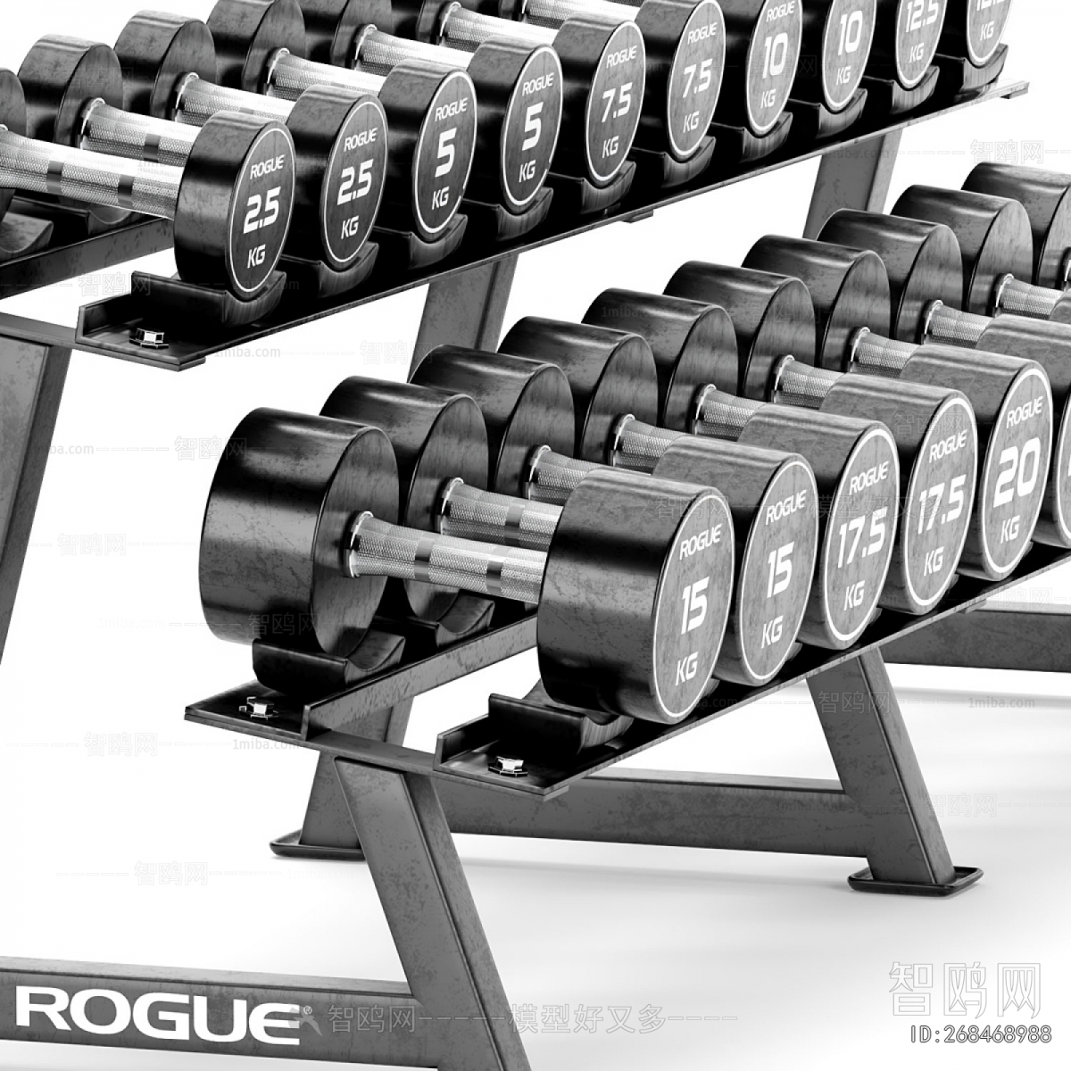 Modern Fitness Equipment