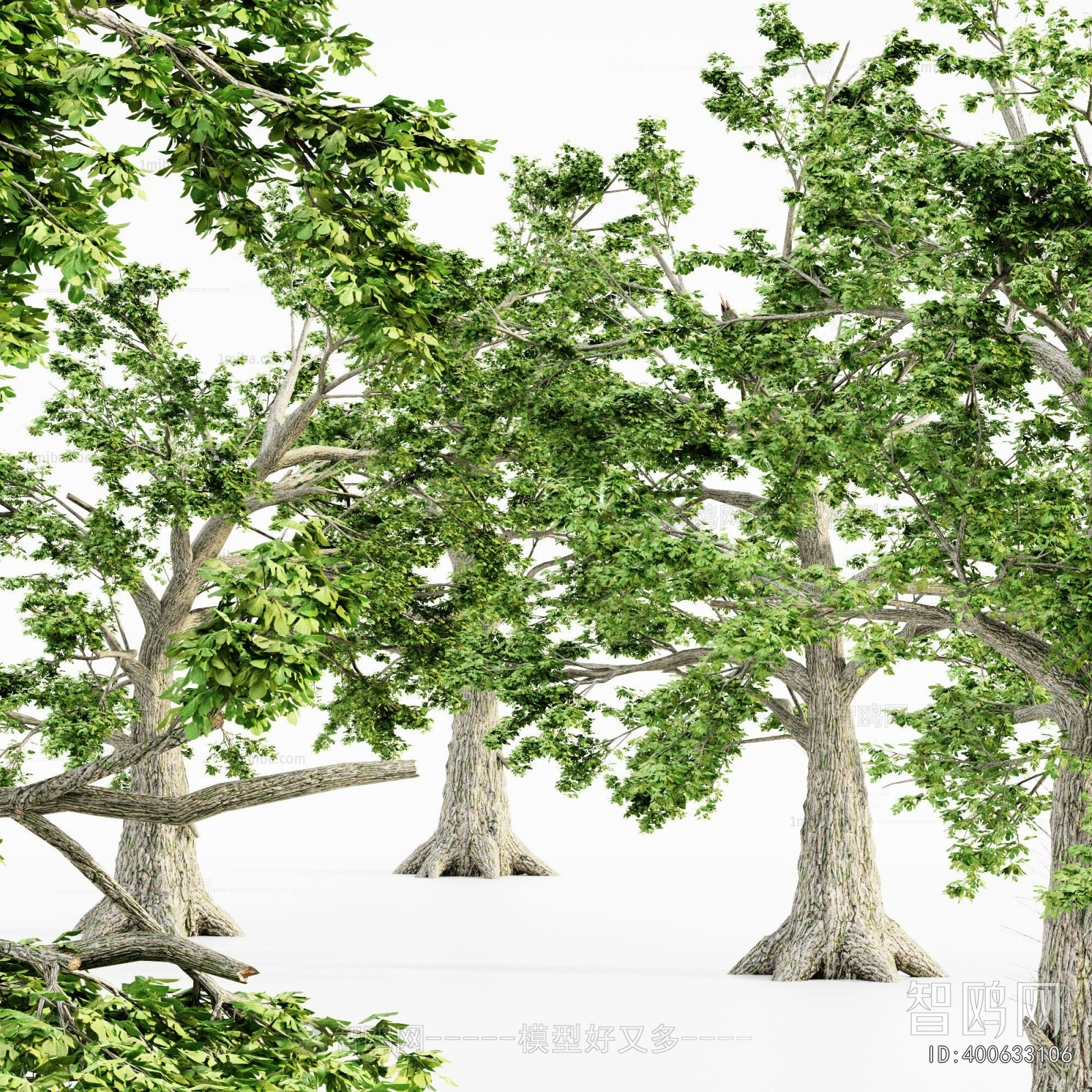 Modern Tree