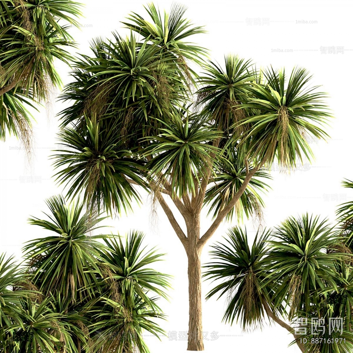 Modern Tree