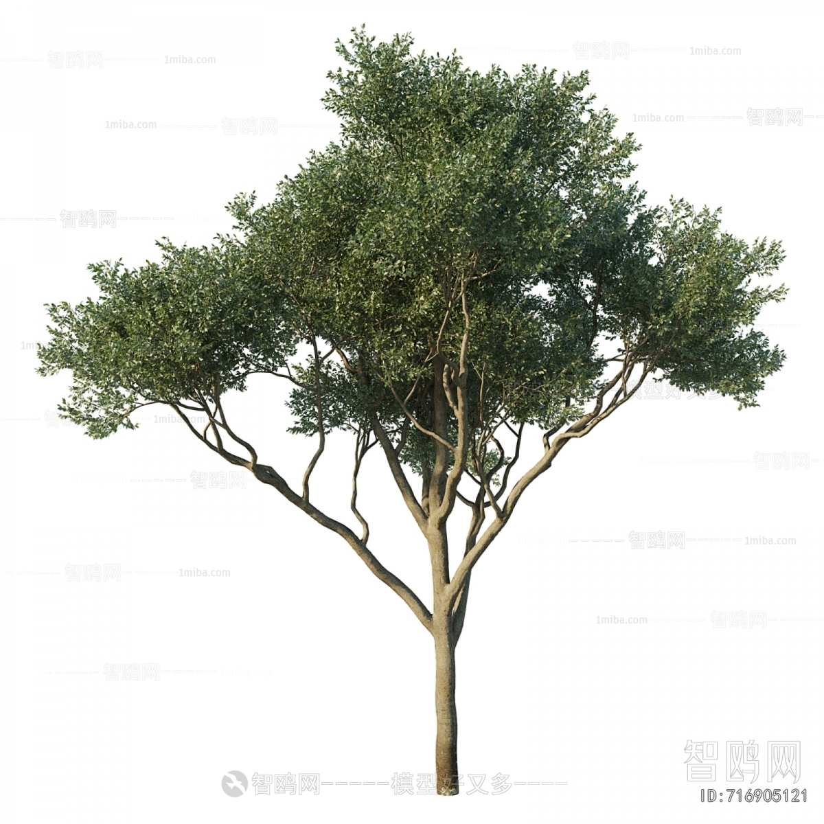 Modern Tree