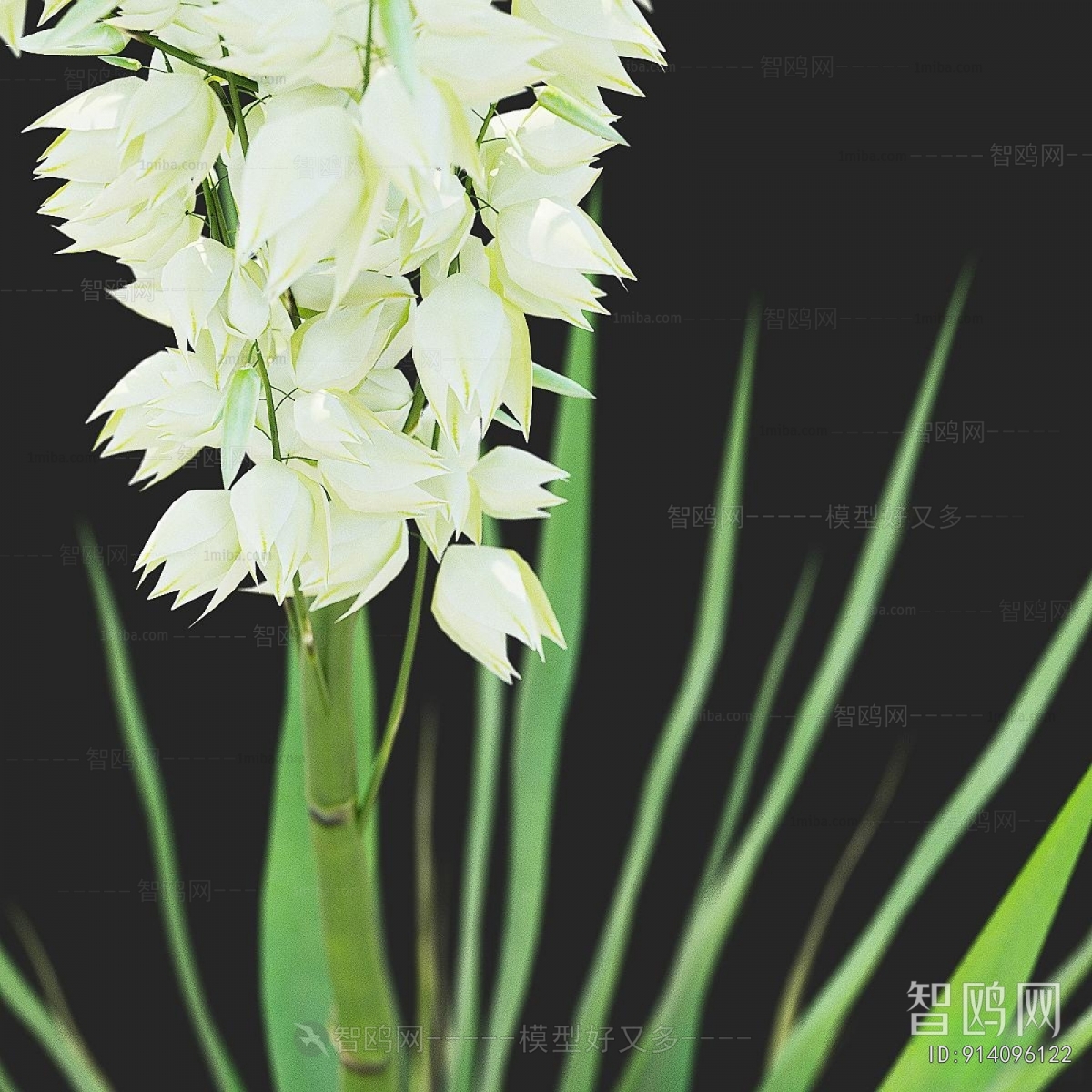 Modern The Grass