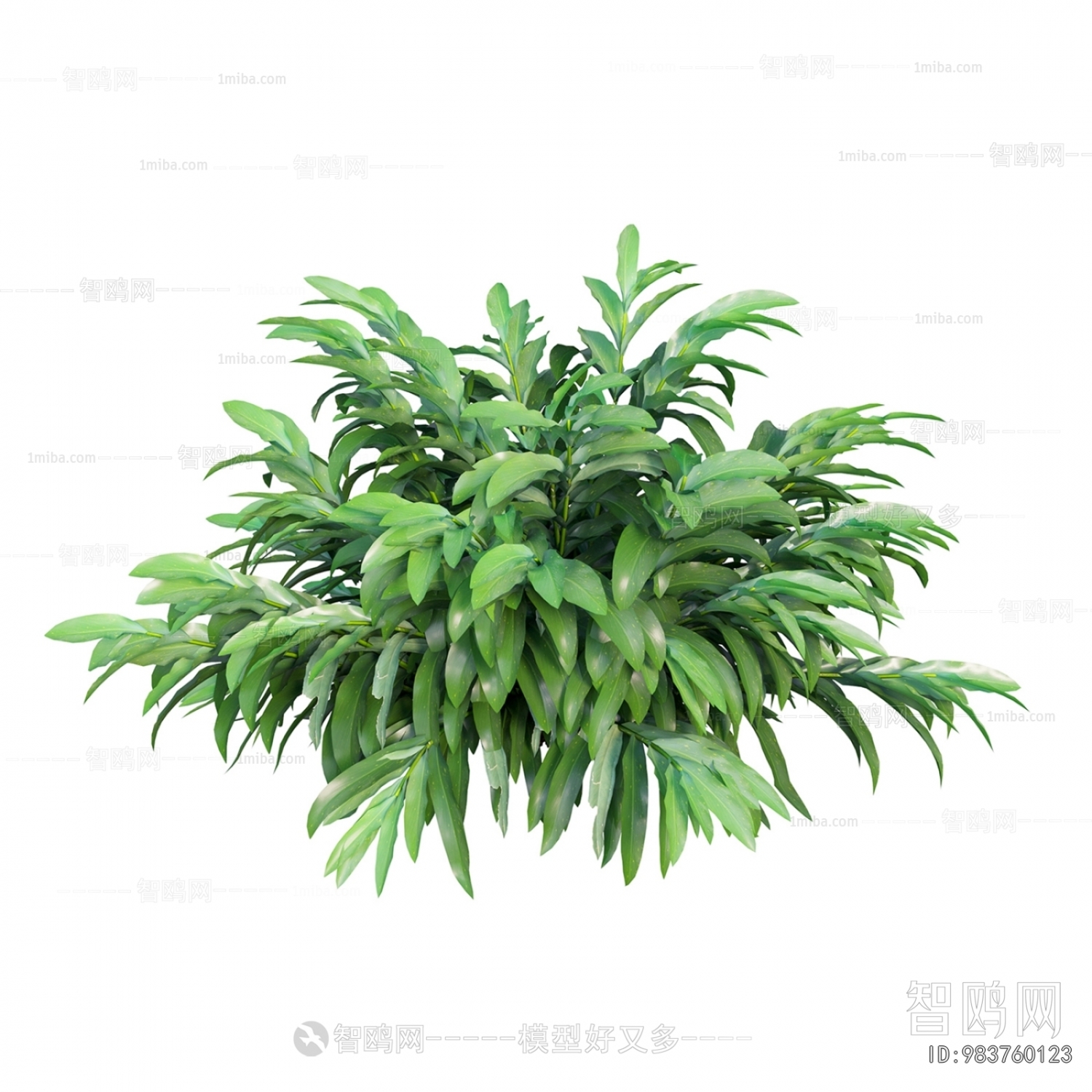 Modern The Grass