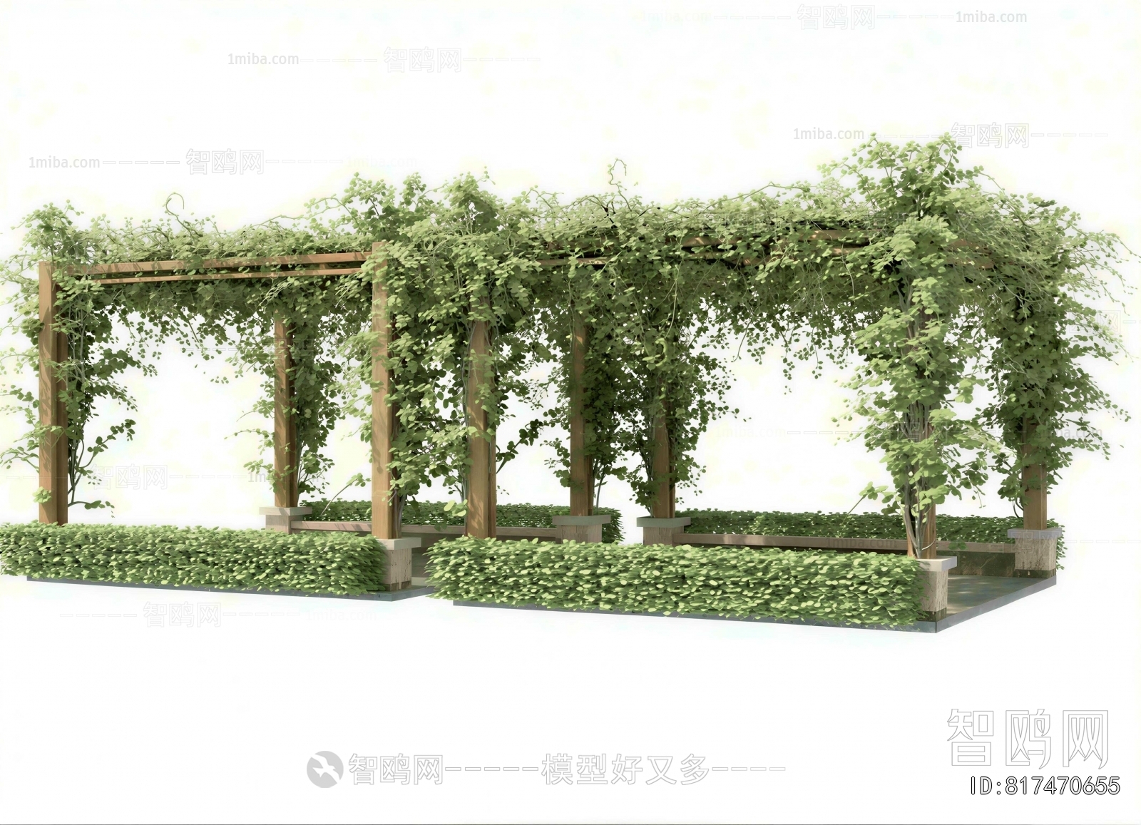 Modern Gallery Frame