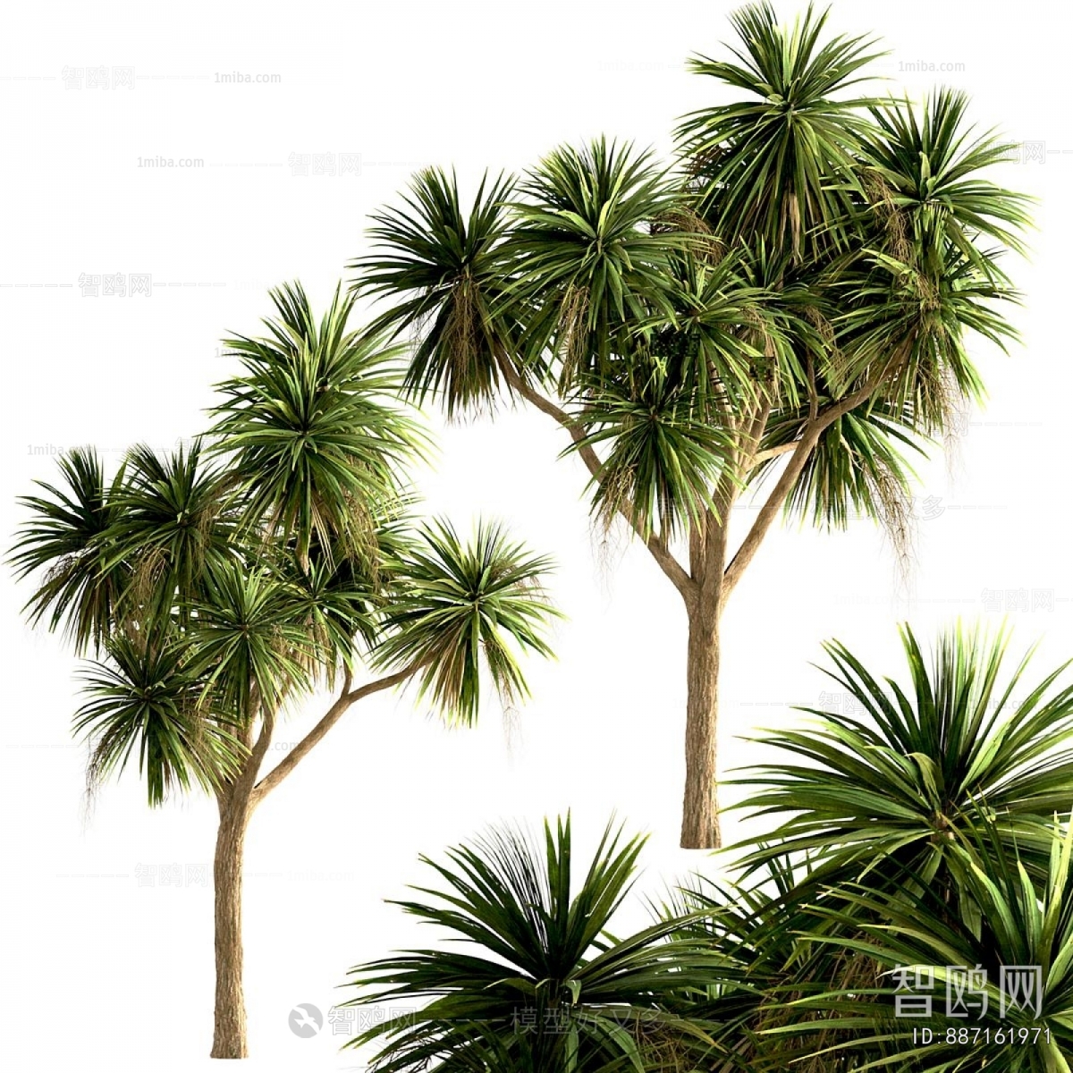 Modern Tree