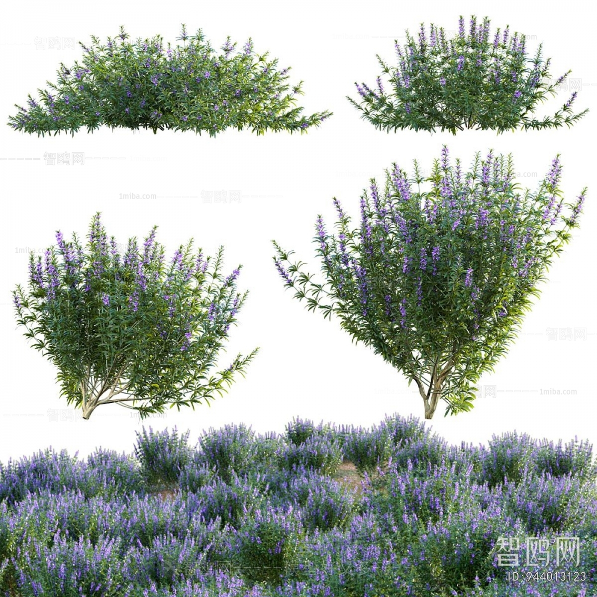 Modern Flowers And Grass
