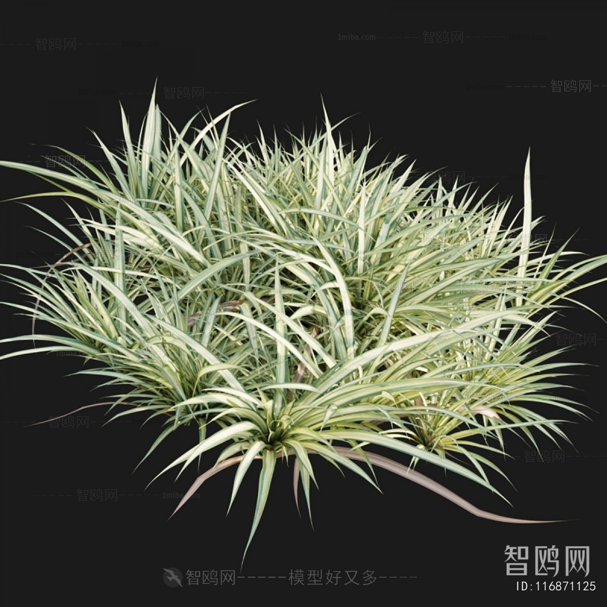 Modern Flowers And Grass