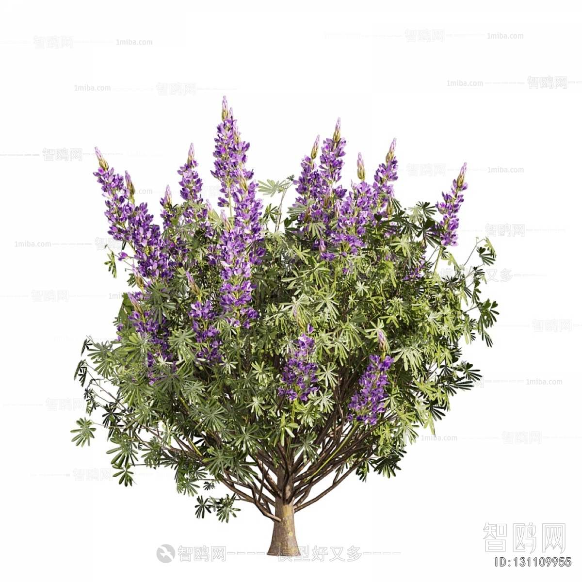 Modern Flowers And Grass