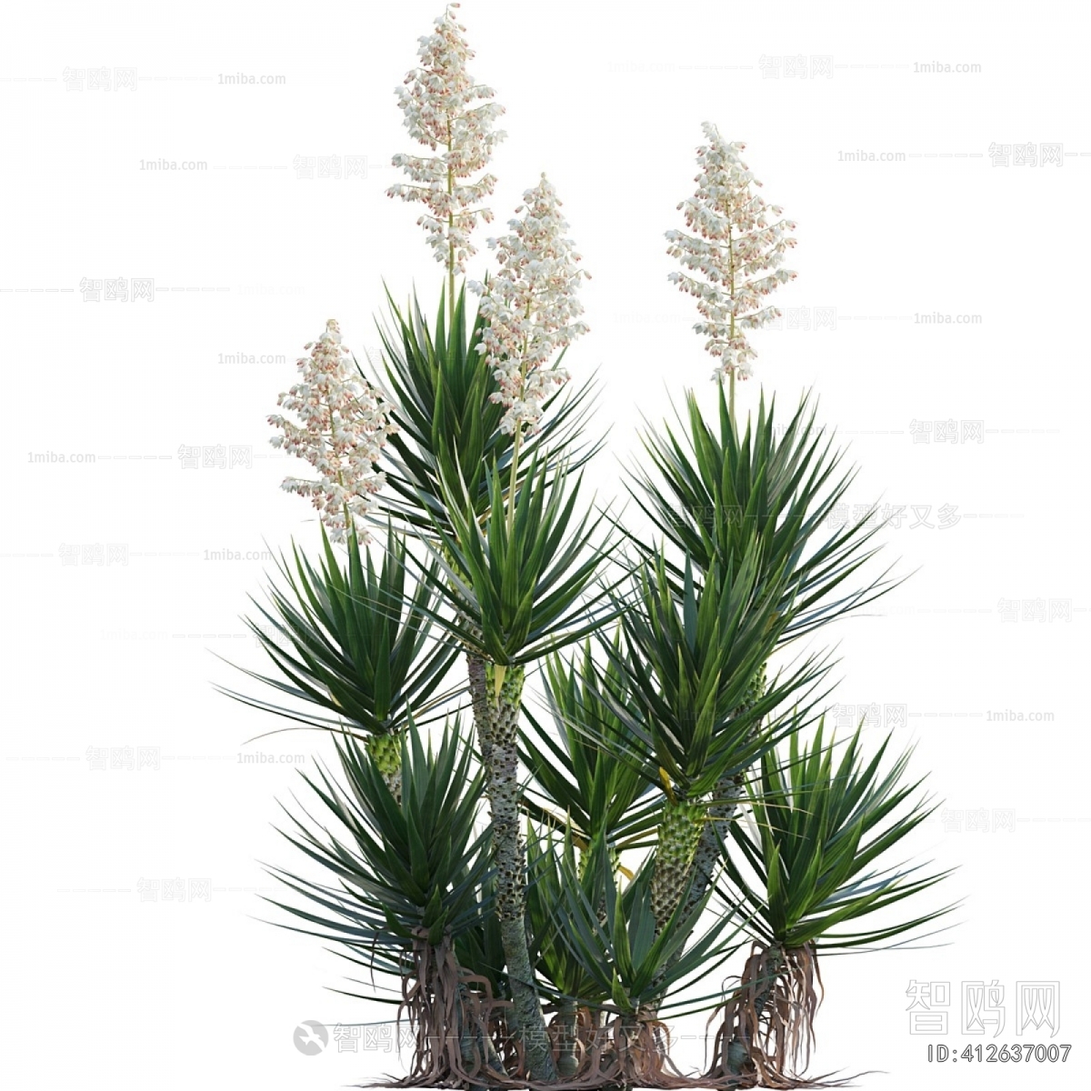 Modern The Grass