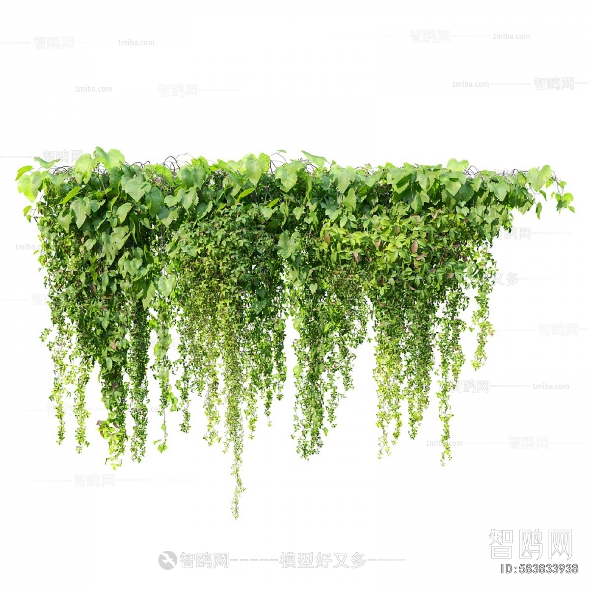 Modern Vine