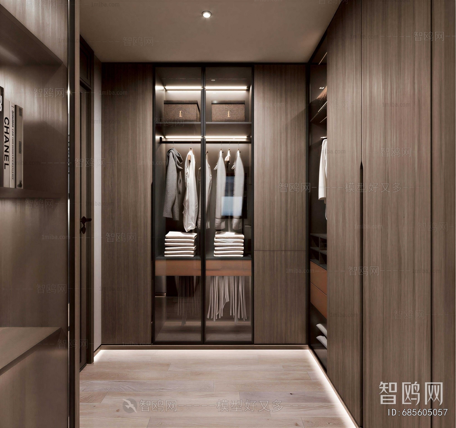 Modern Clothes Storage Area