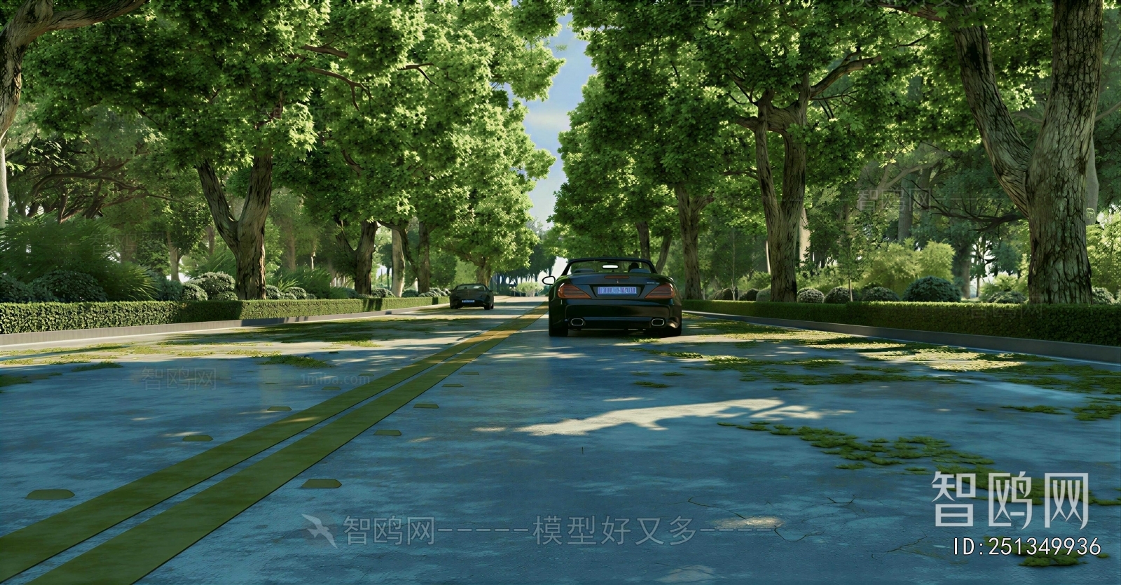 Modern Park Landscape