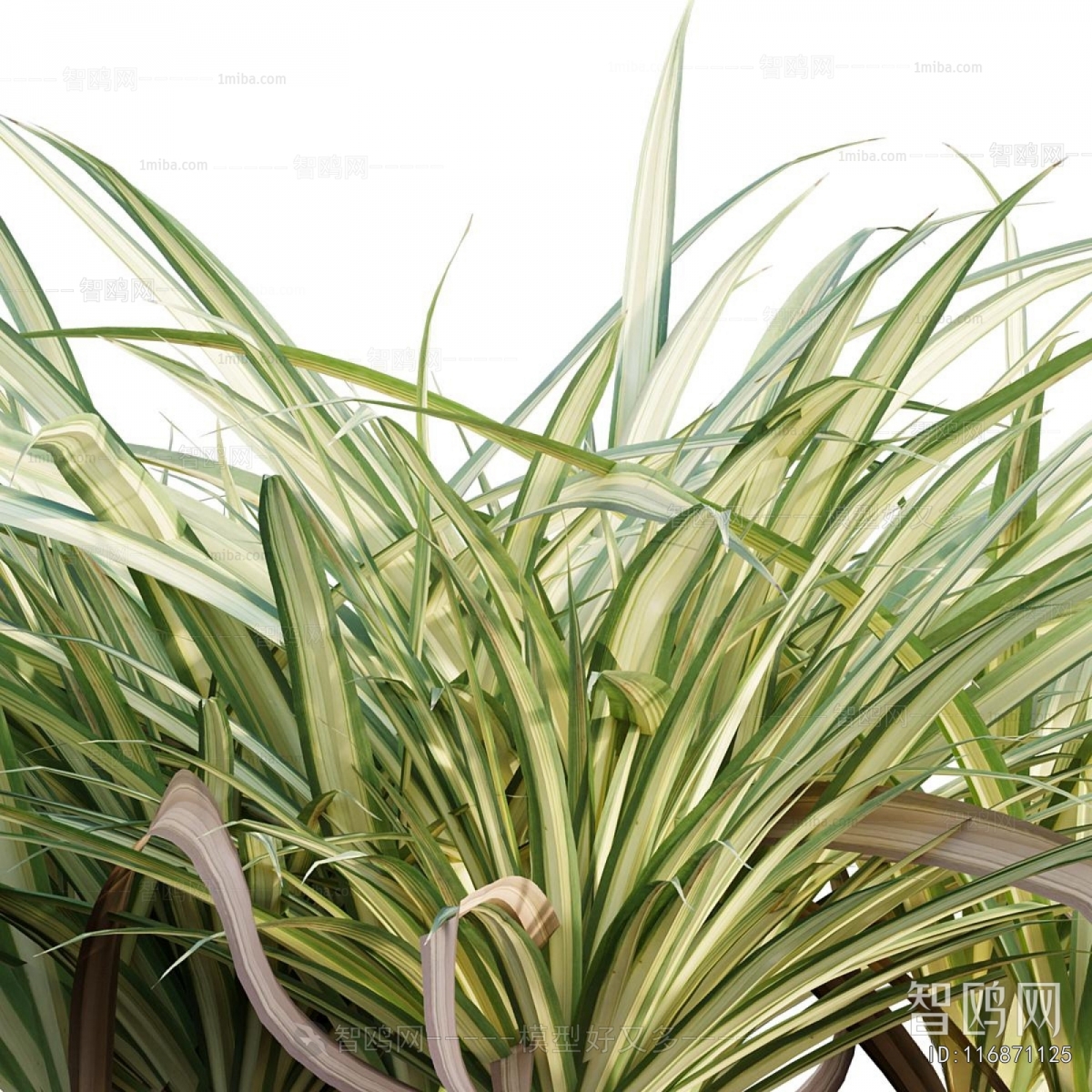 Modern Flowers And Grass