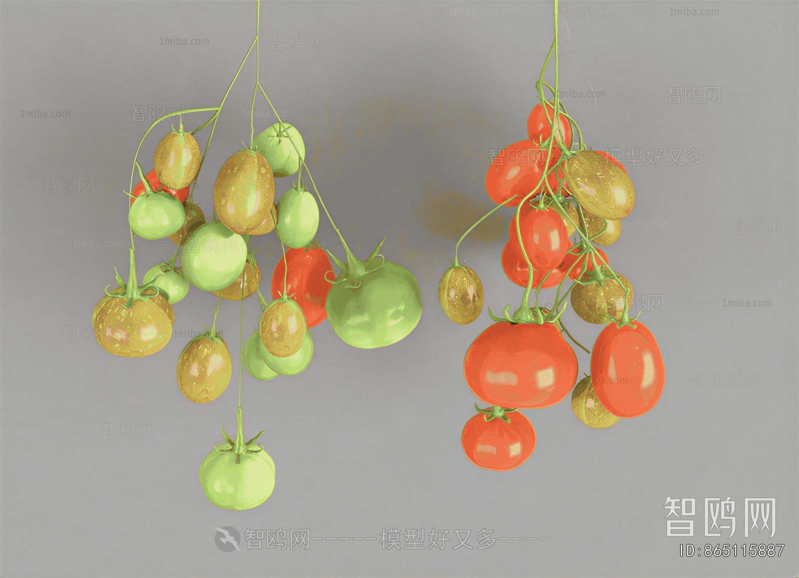 Modern Vegetables