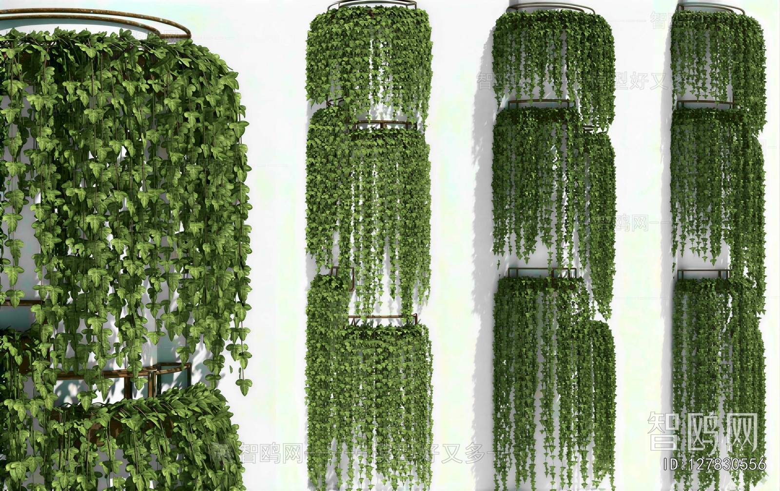 Modern Vine