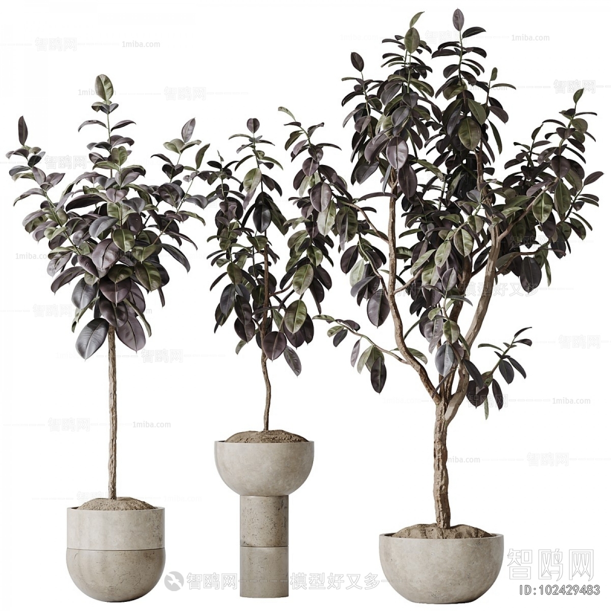 Modern Ground Green Plant Potted Plants