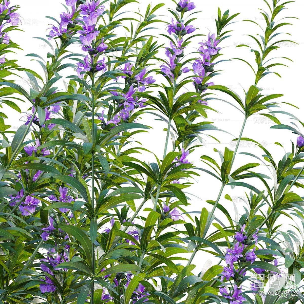 Modern Flowers And Grass