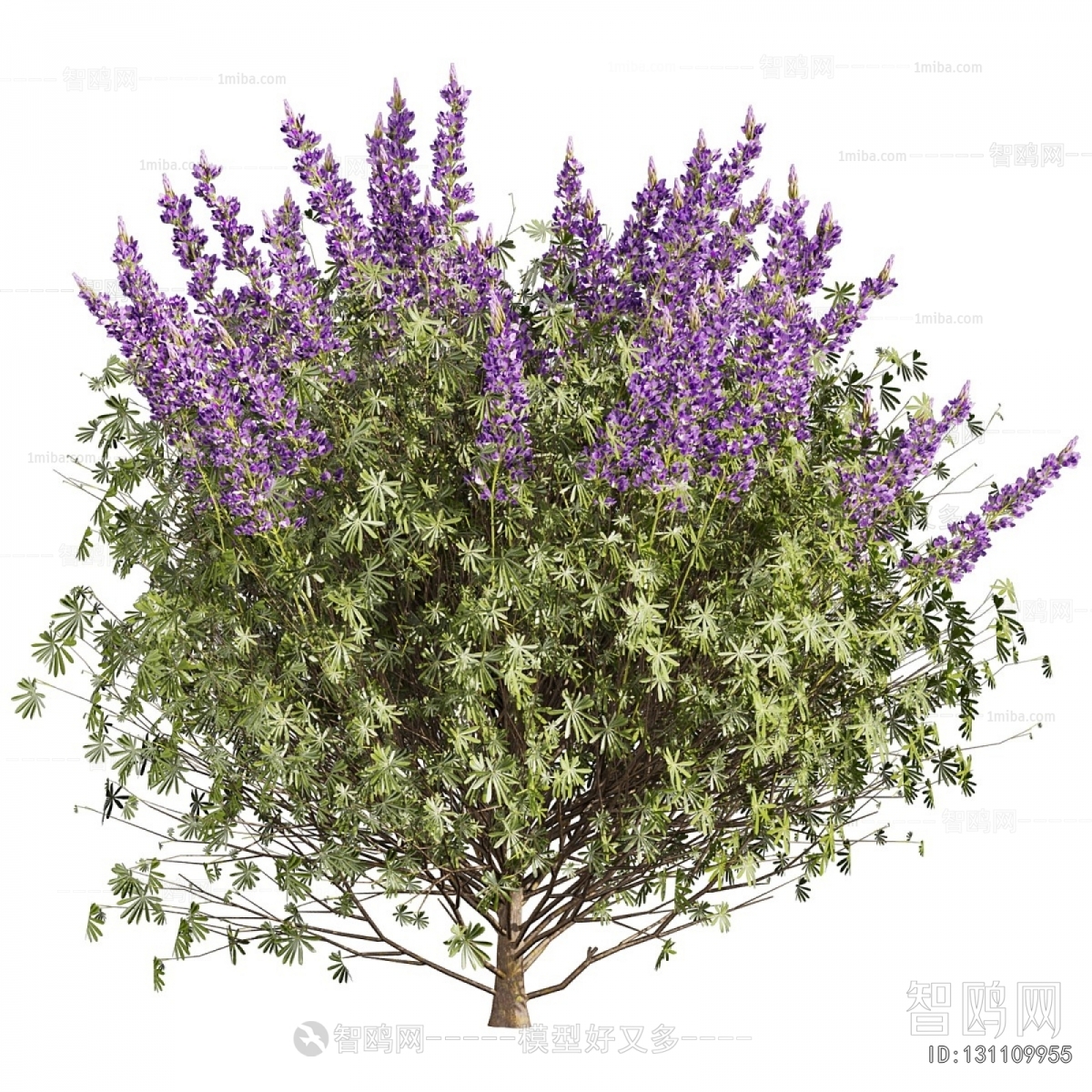 Modern Flowers And Grass