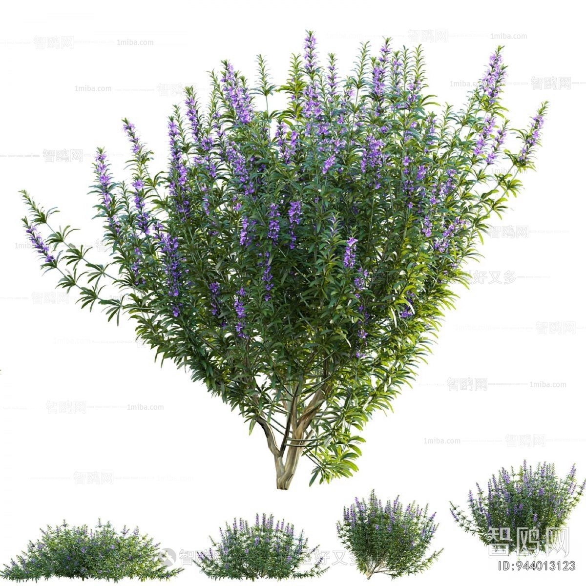 Modern Flowers And Grass