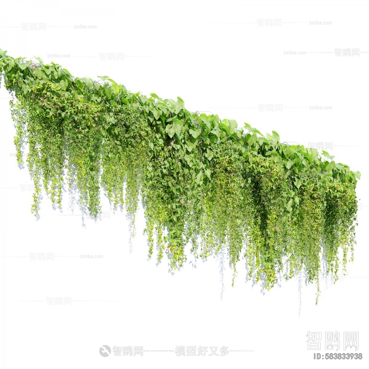 Modern Vine