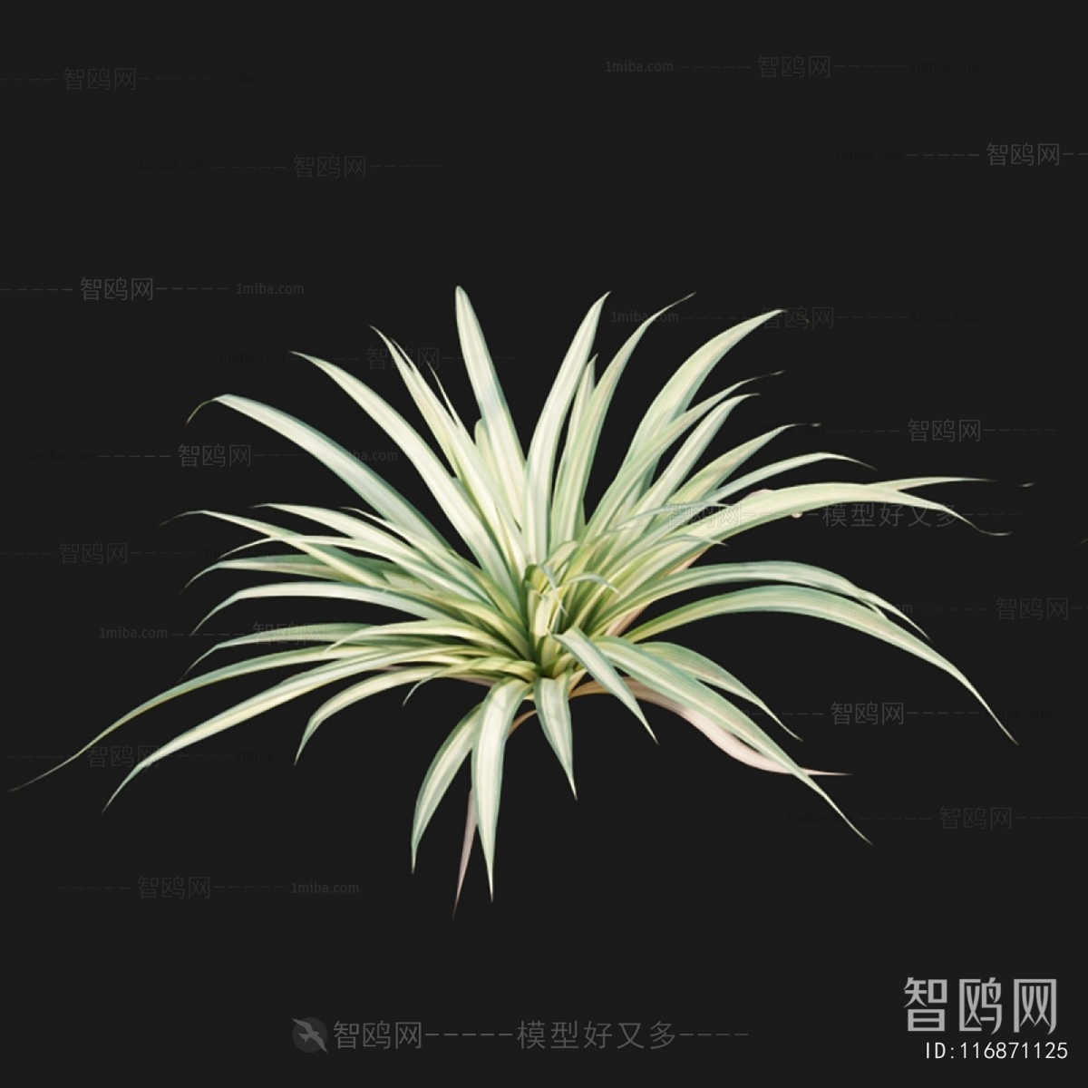 Modern Flowers And Grass