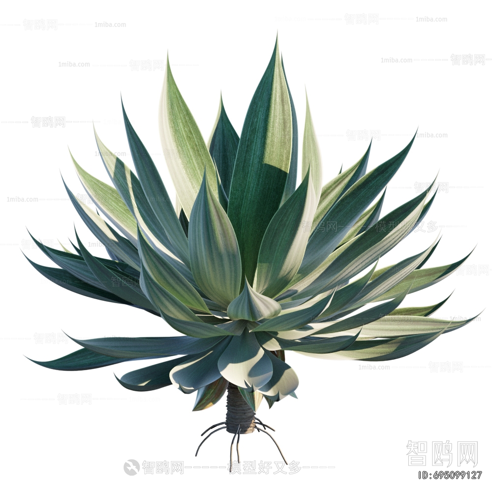 Modern Plant