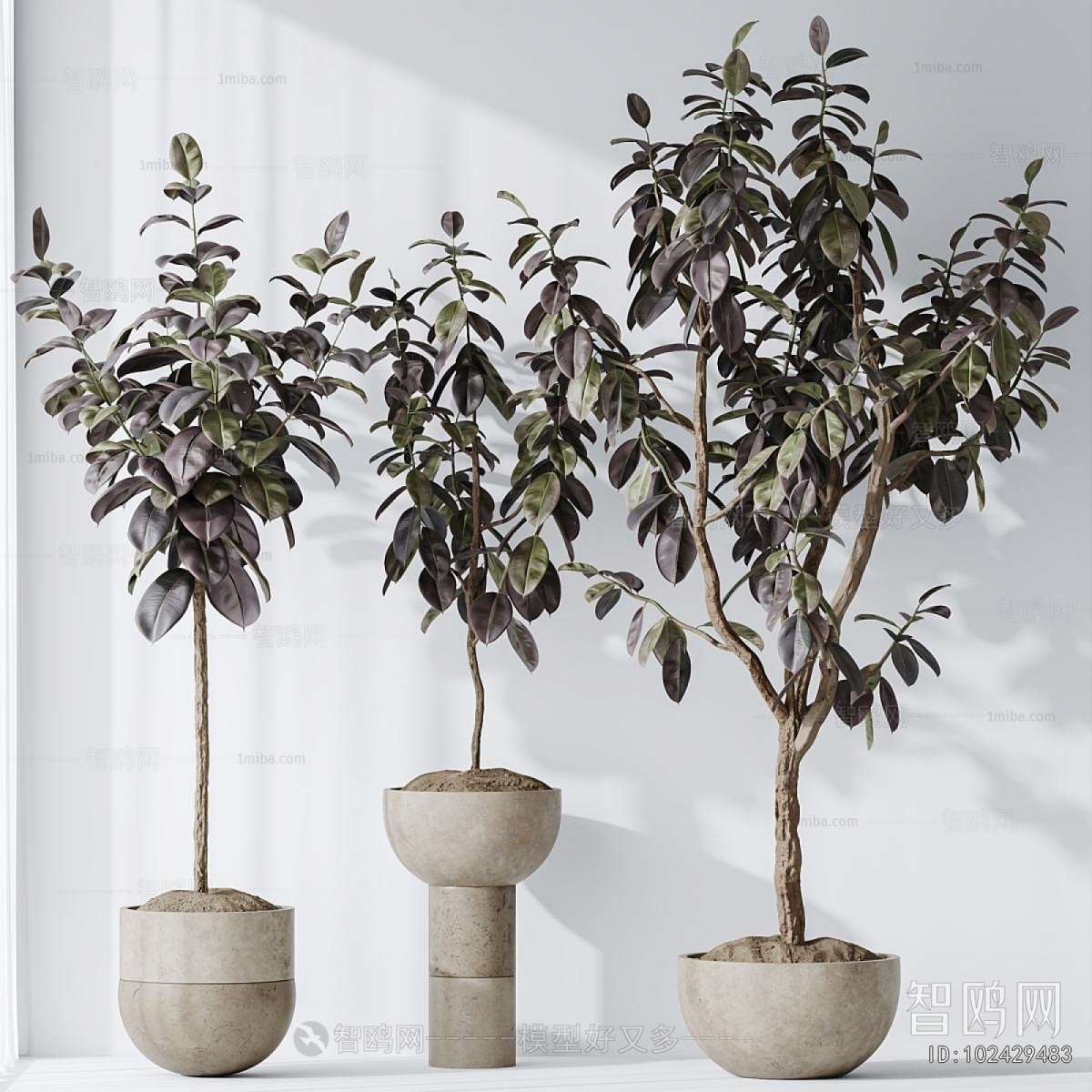 Modern Ground Green Plant Potted Plants