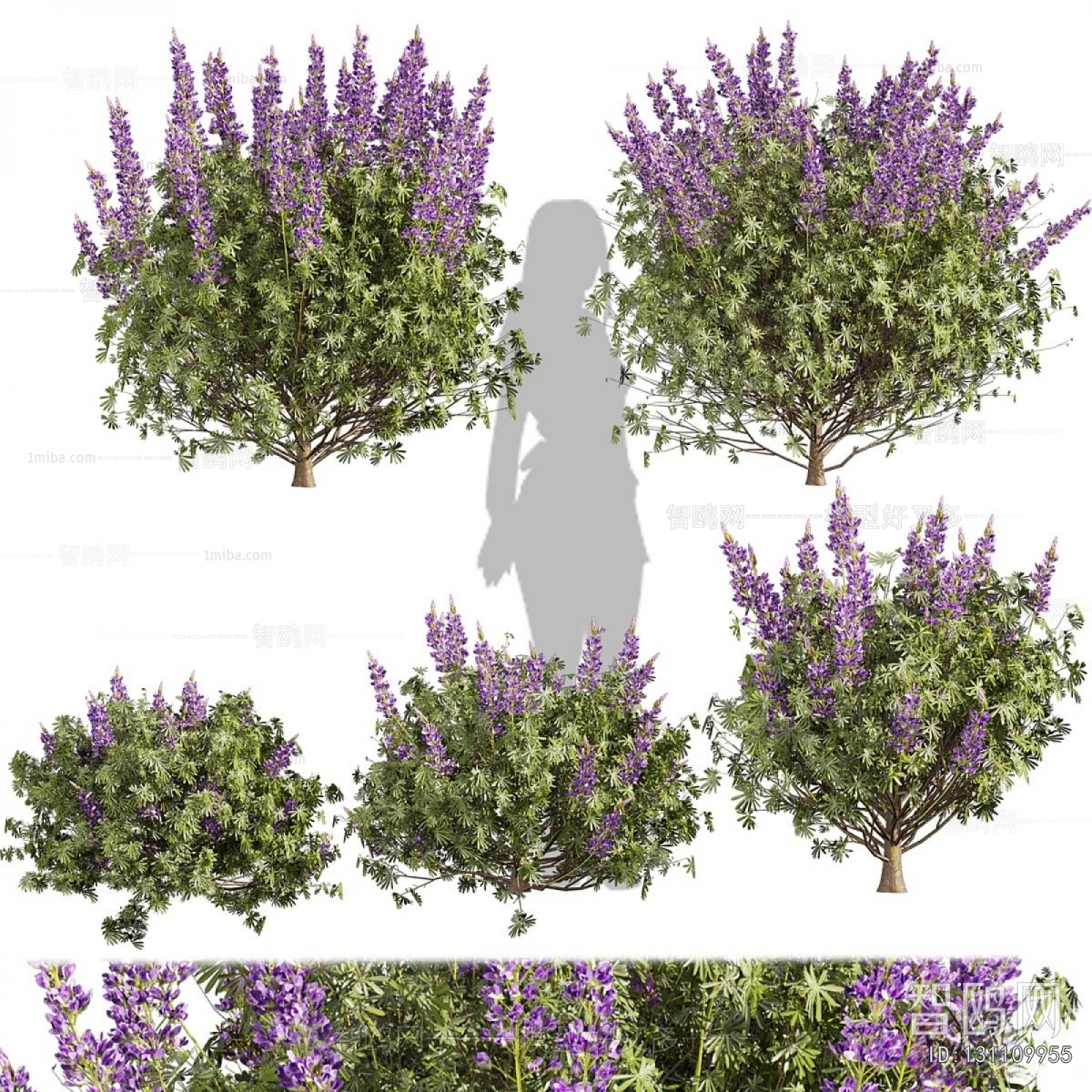Modern Flowers And Grass