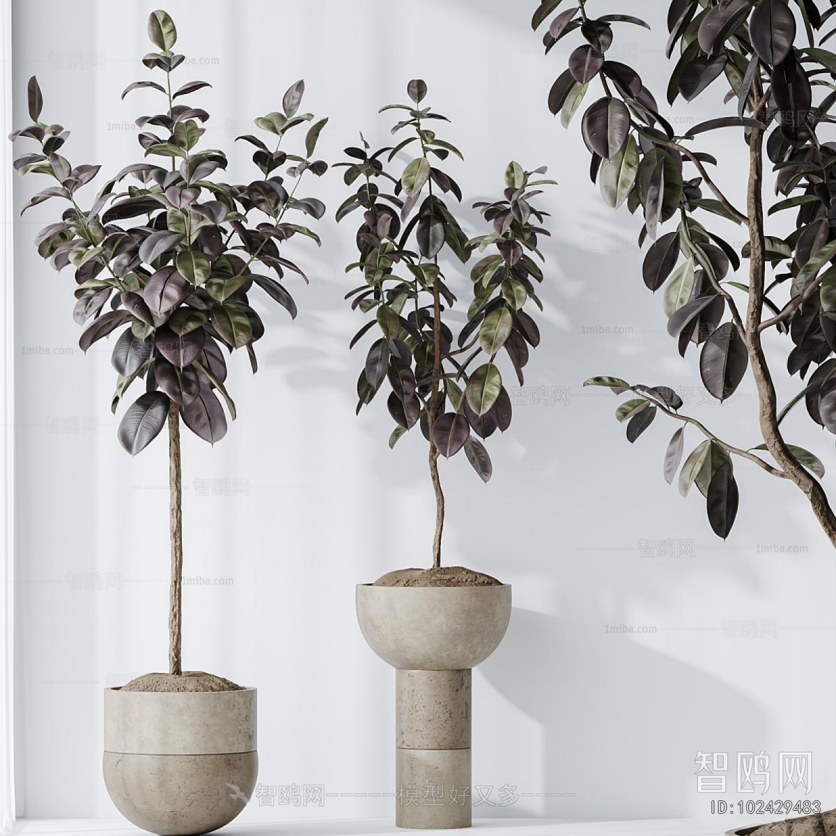 Modern Ground Green Plant Potted Plants
