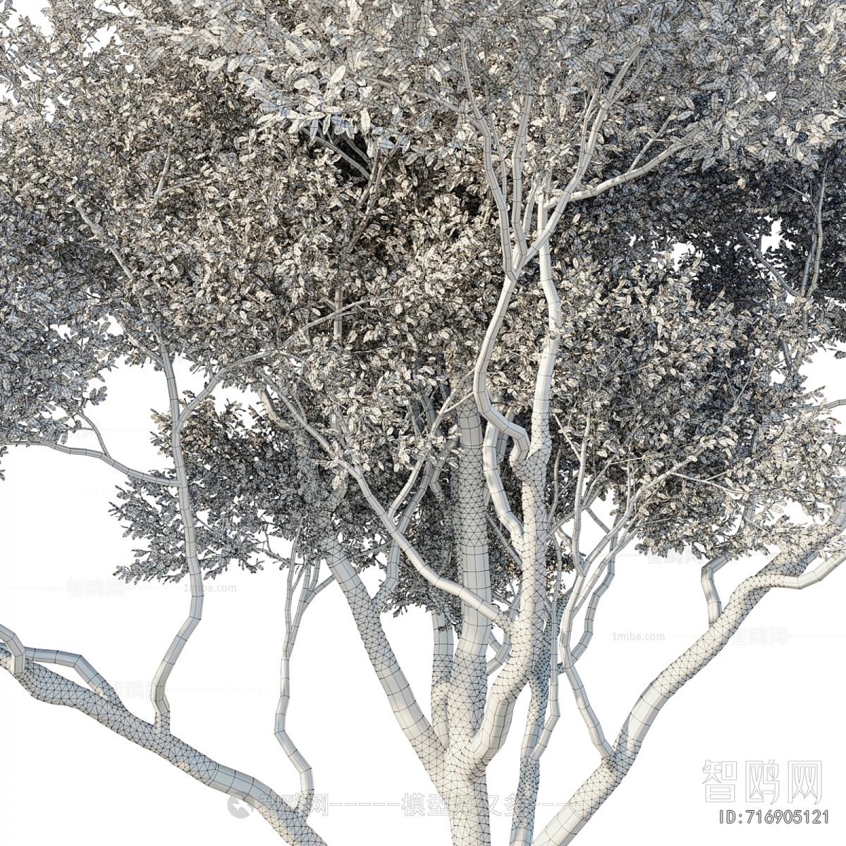 Modern Tree