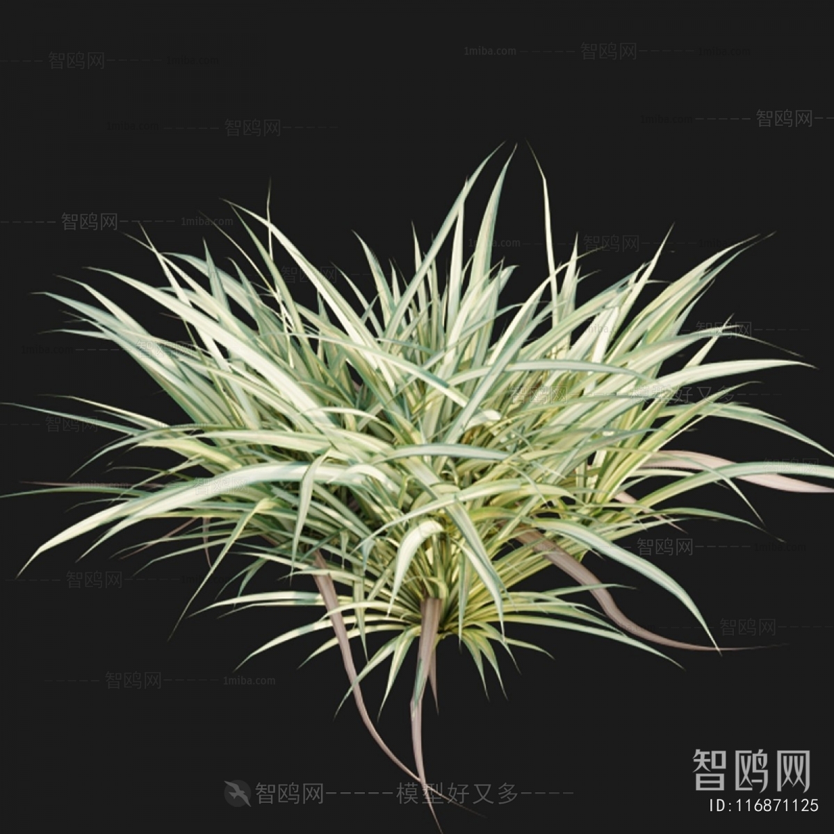 Modern Flowers And Grass