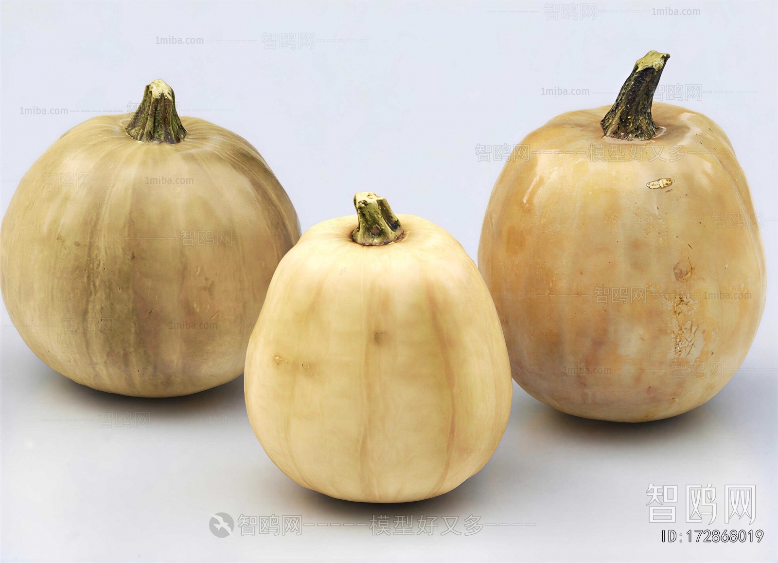 Modern Vegetables