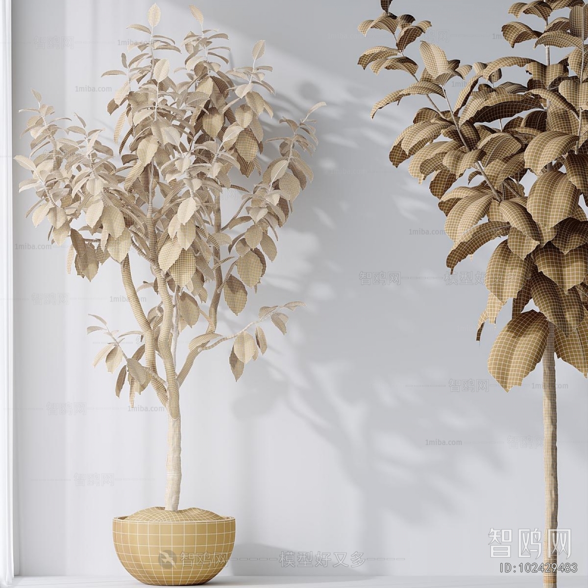 Modern Ground Green Plant Potted Plants