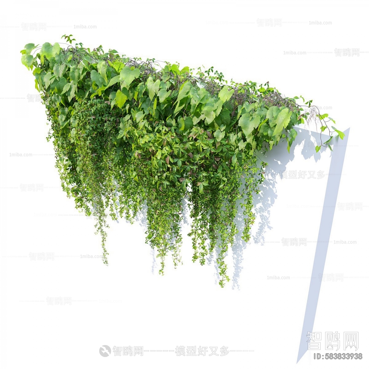 Modern Vine