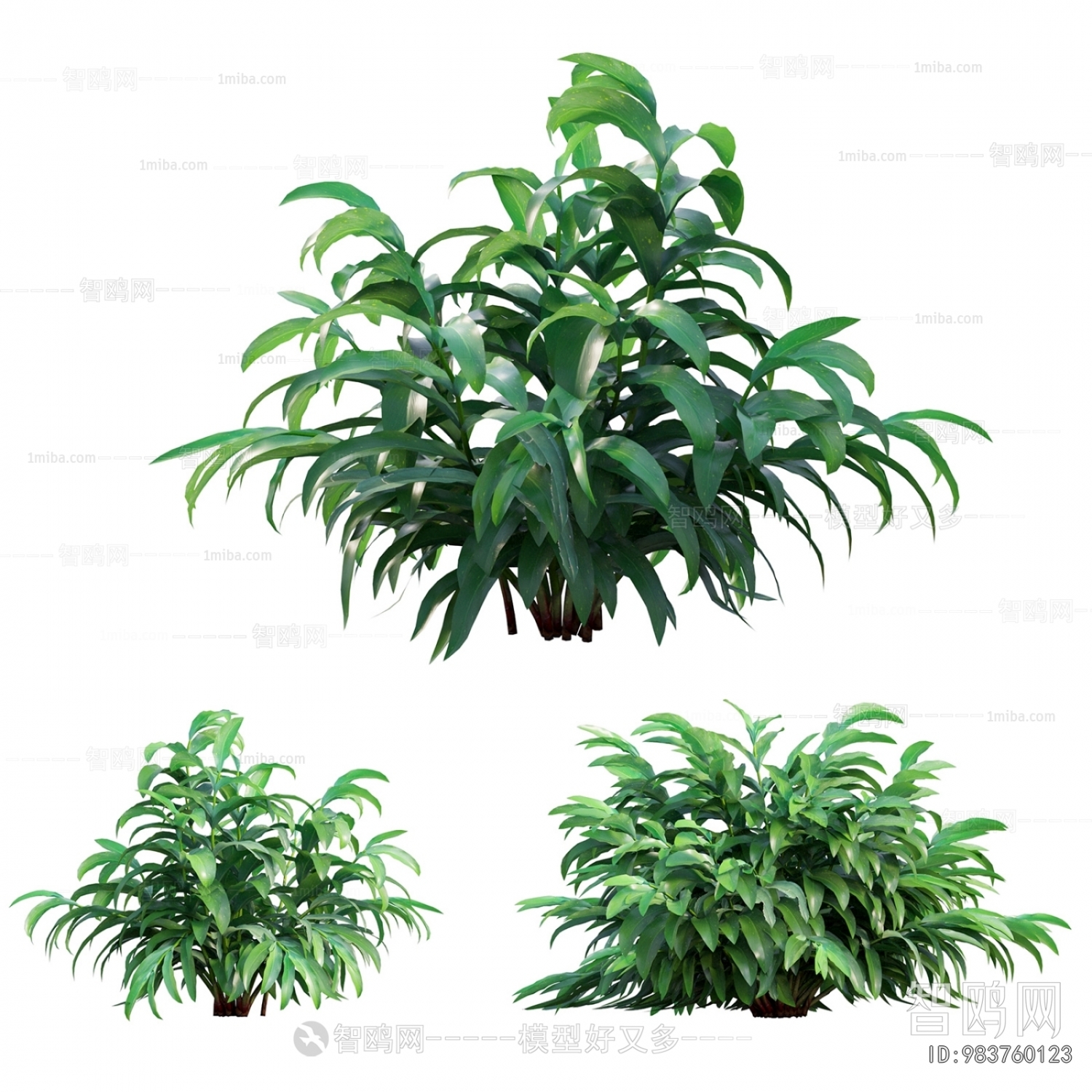 Modern The Grass