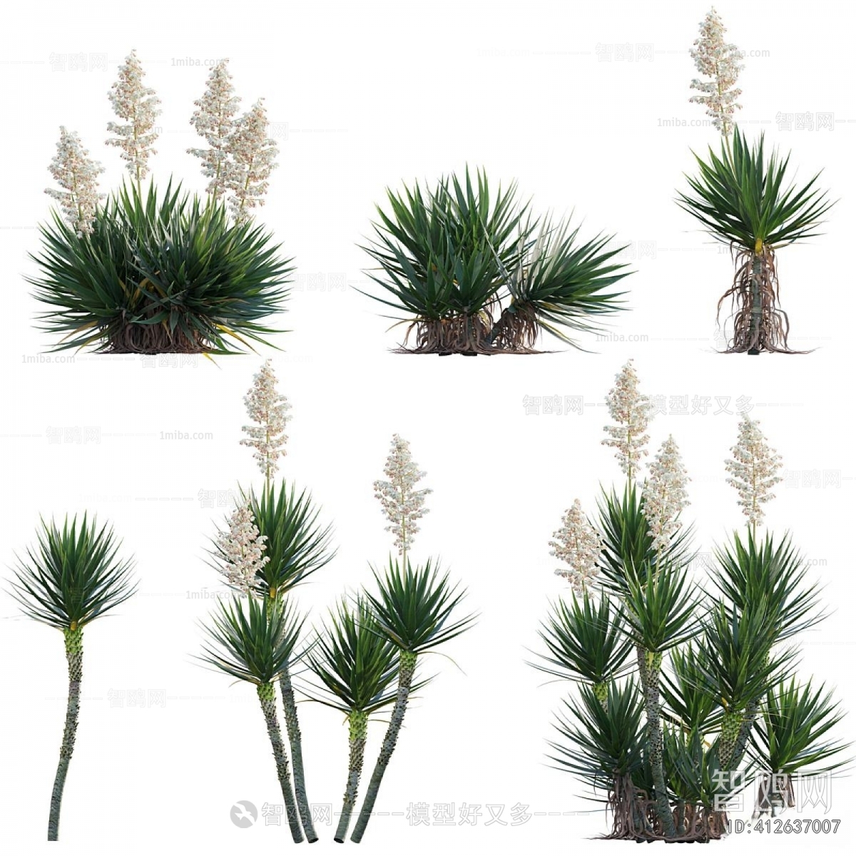 Modern The Grass