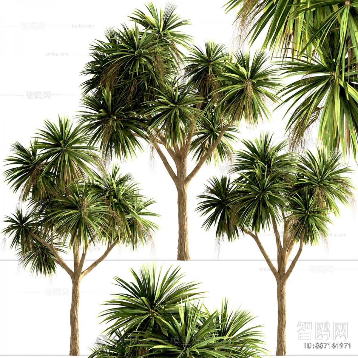 Modern Tree