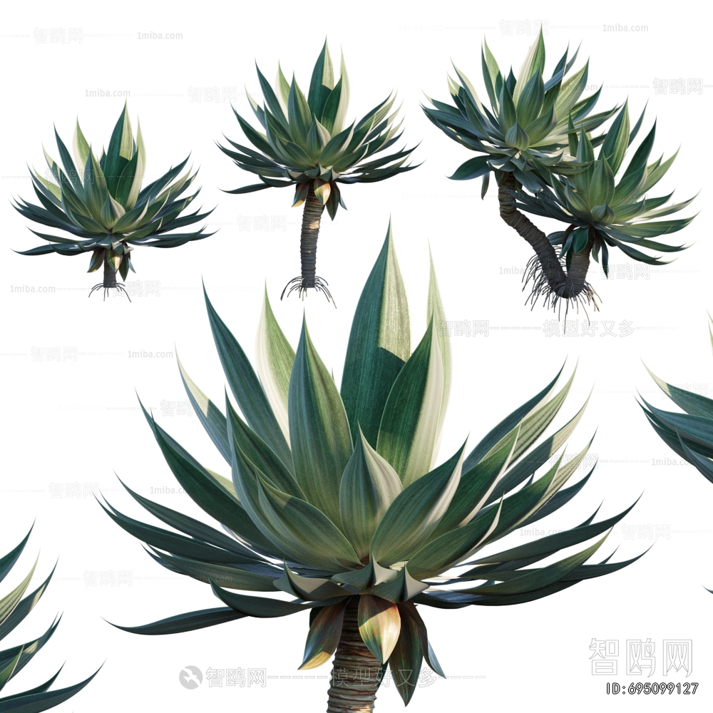 Modern Plant