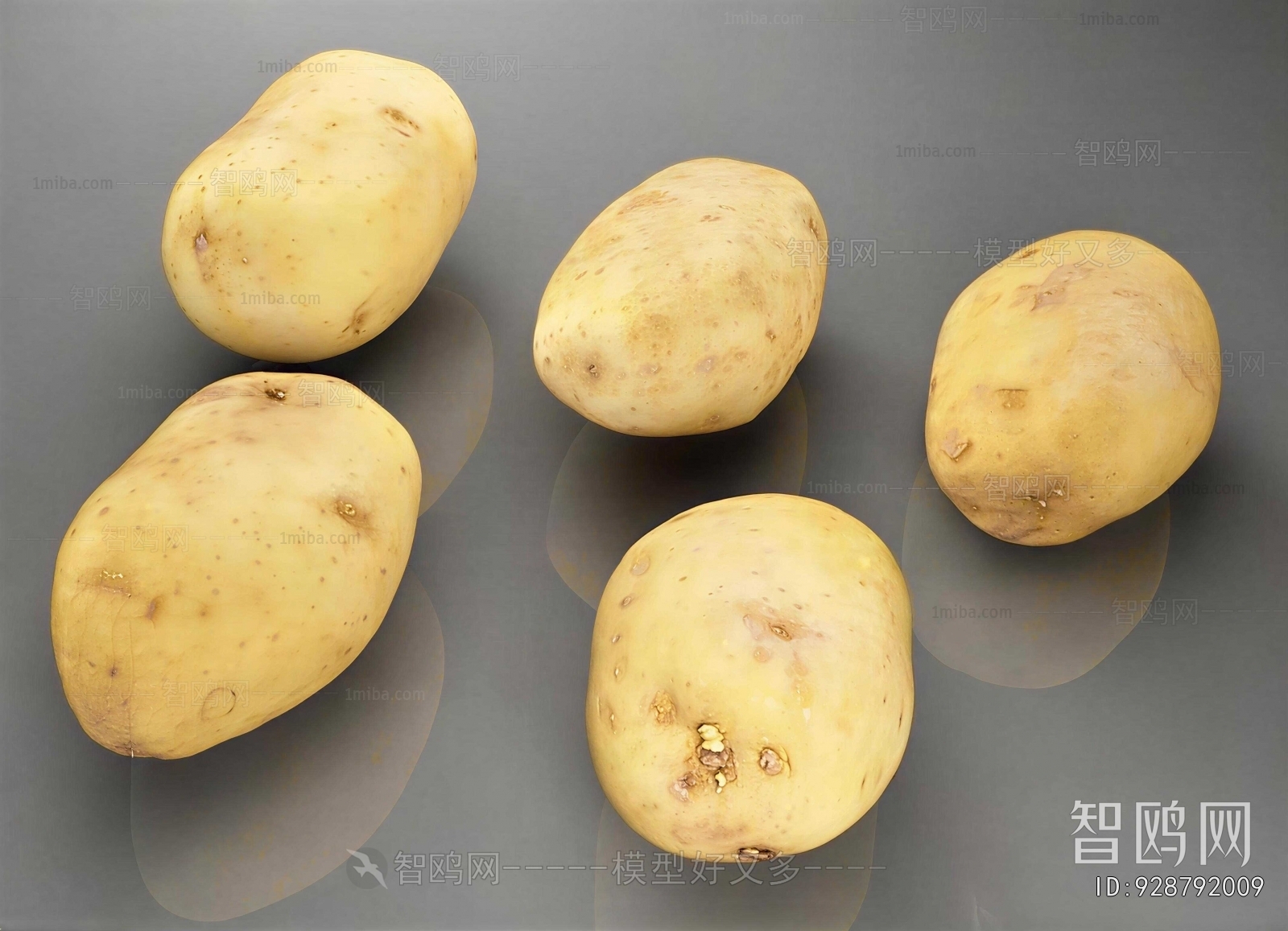 Modern Vegetables