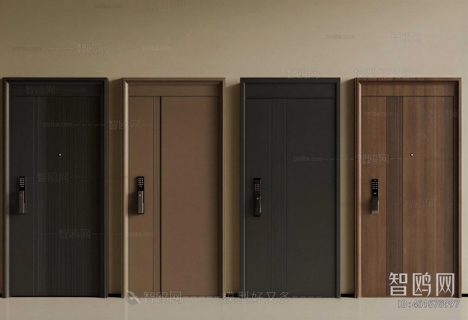 Modern Entrance Door