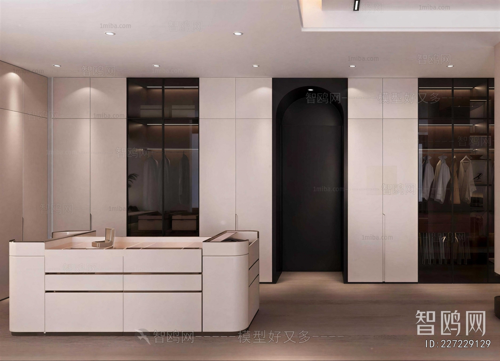 Modern Clothes Storage Area