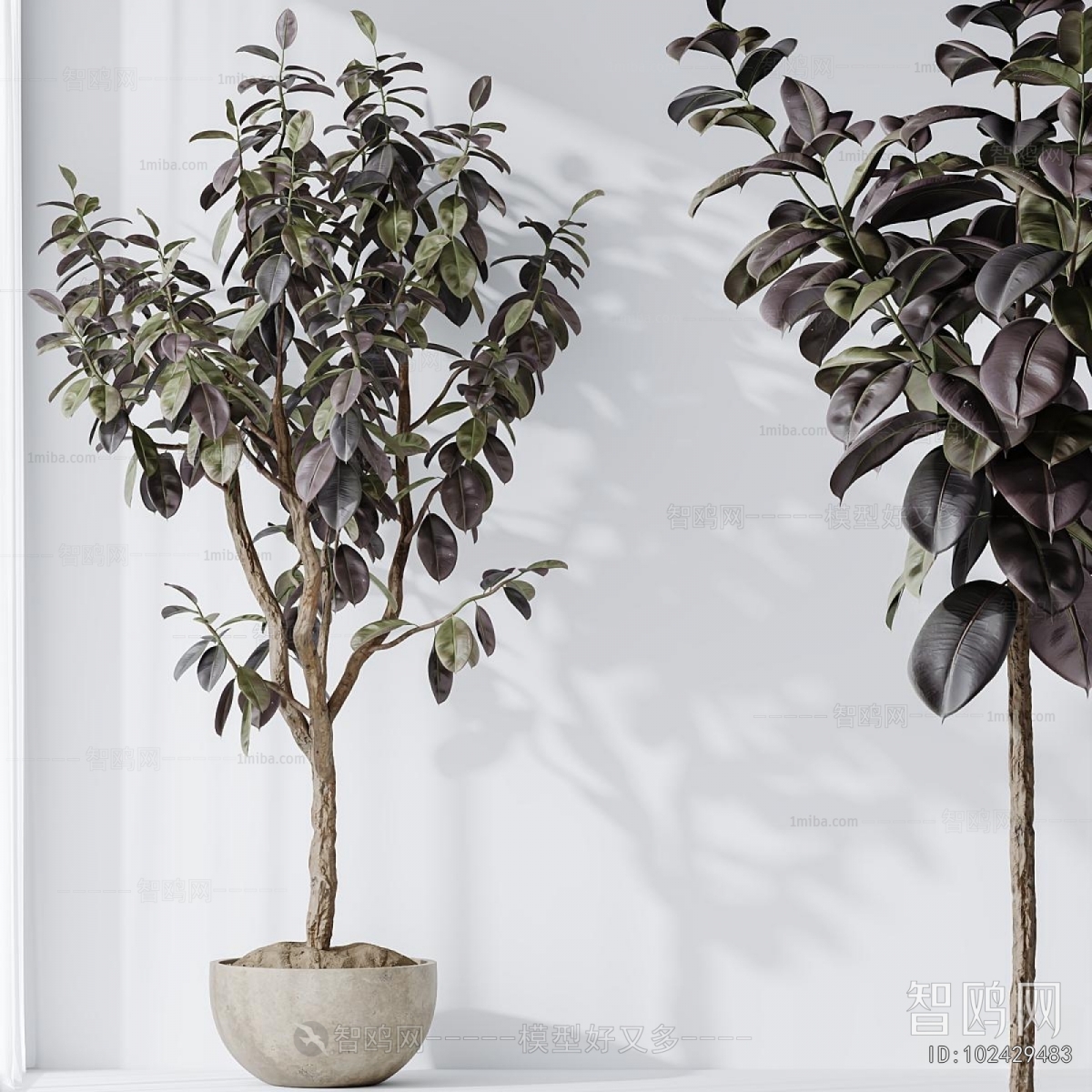 Modern Ground Green Plant Potted Plants