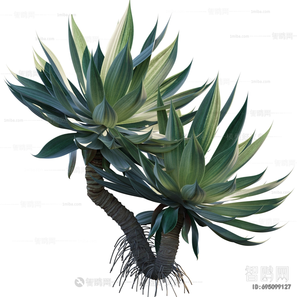 Modern Plant
