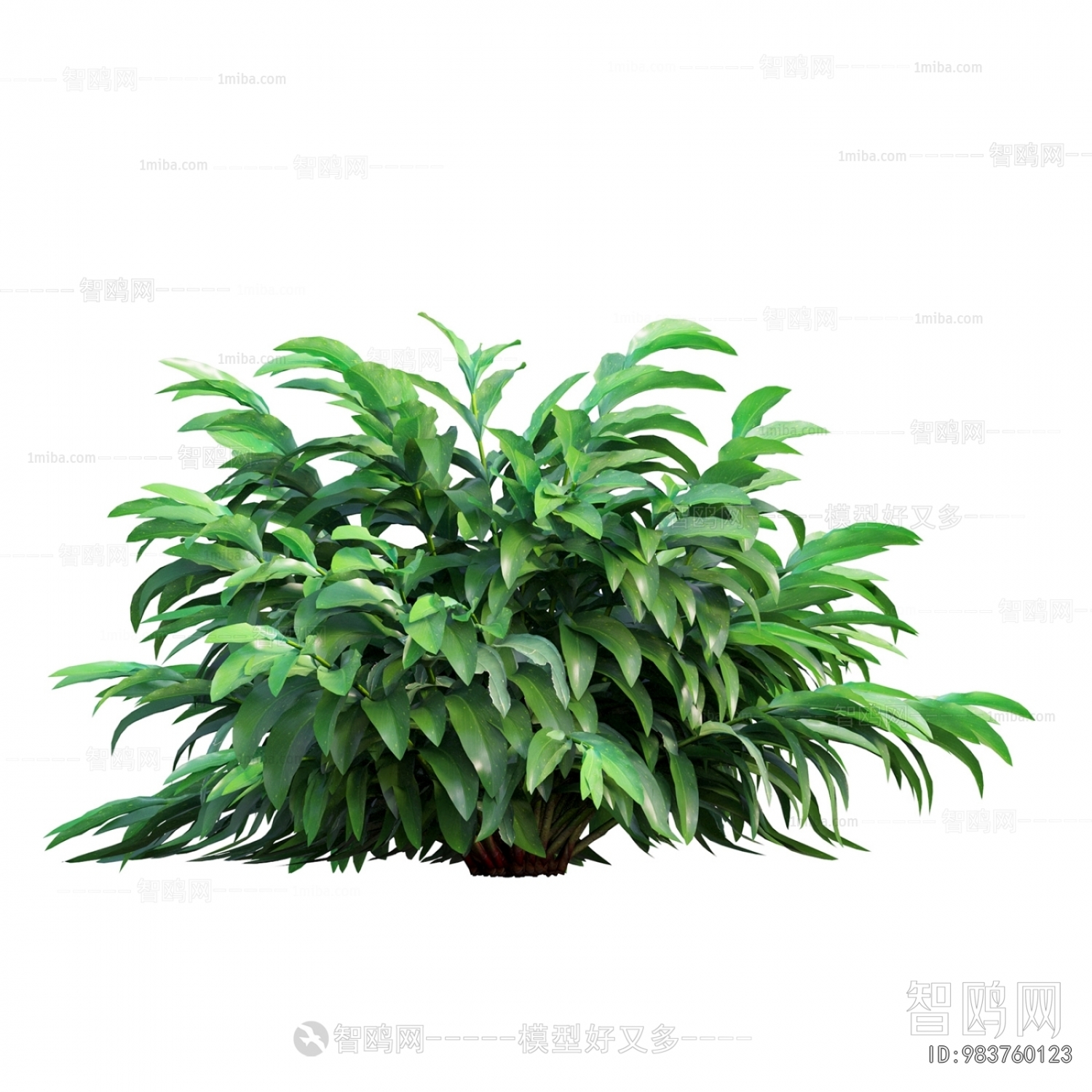 Modern The Grass