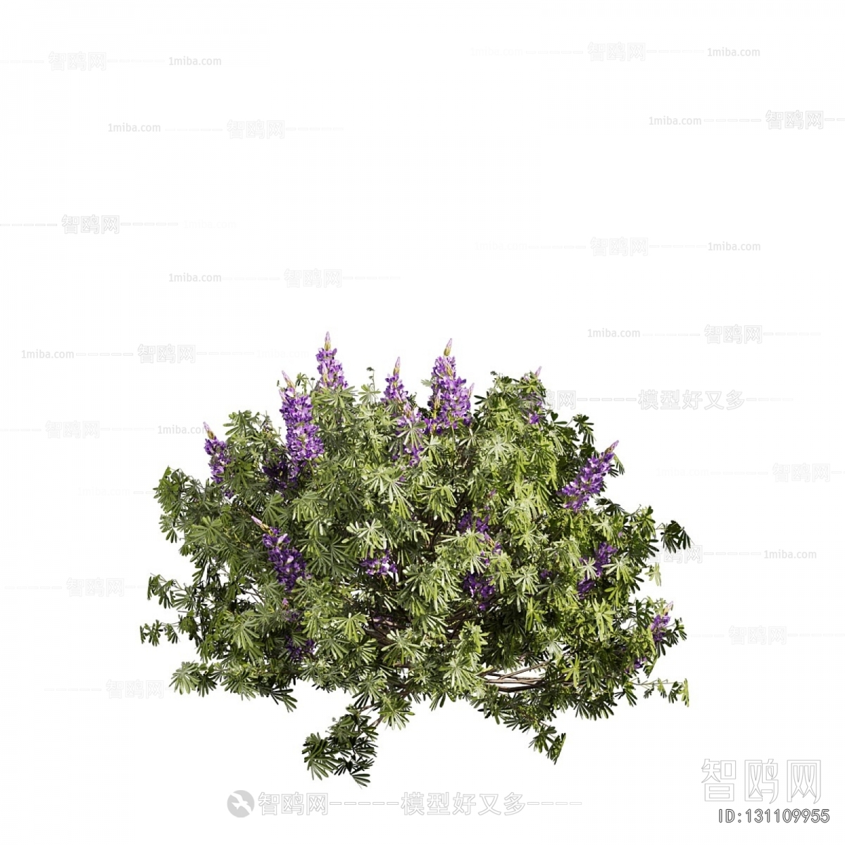 Modern Flowers And Grass
