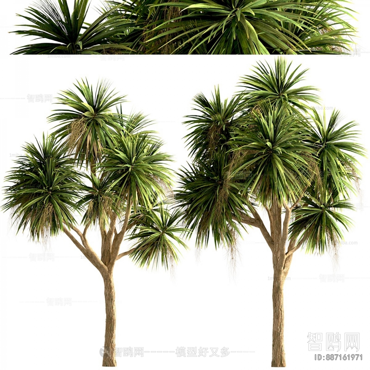 Modern Tree