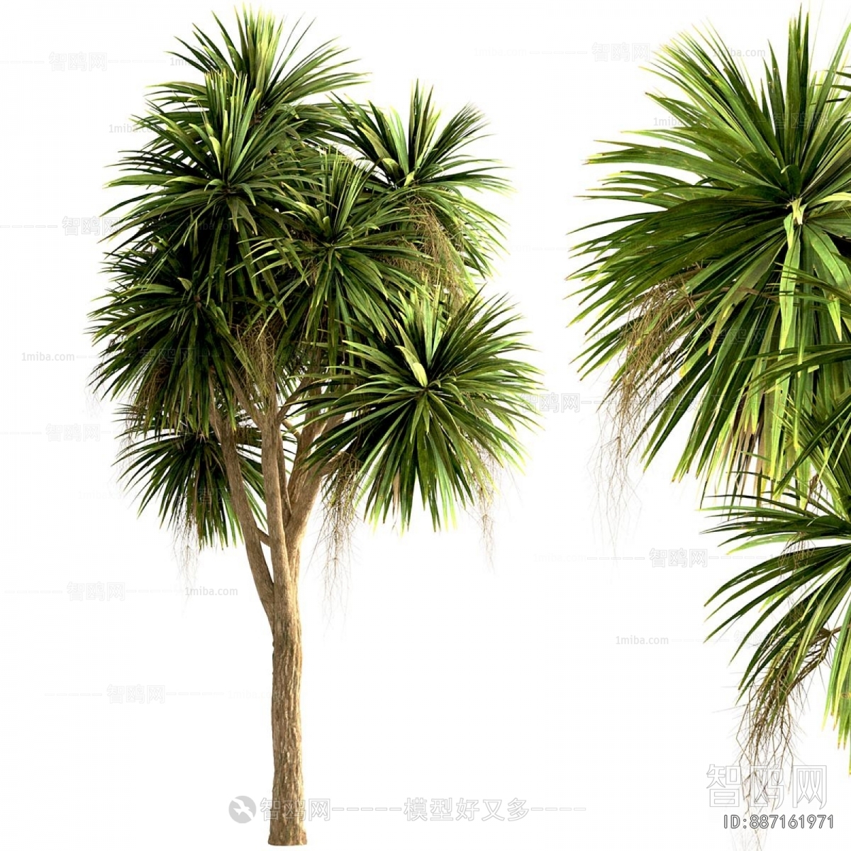 Modern Tree